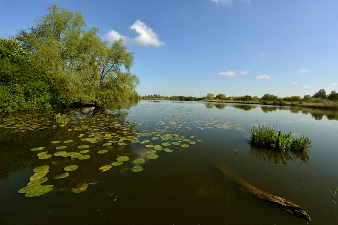 Le Romelaëre à Nieurlet